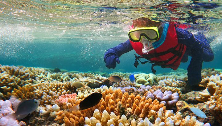 Great Barrier Reef biodiversity