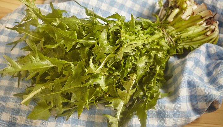 Dandelion greens are a strange green food to eat more of