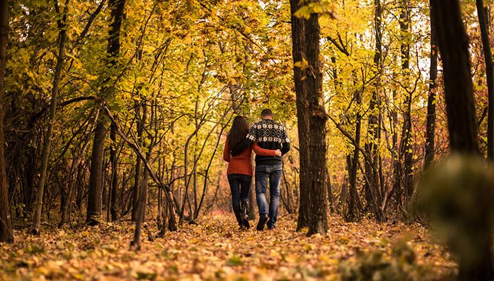 Make 2017 a great year by walking