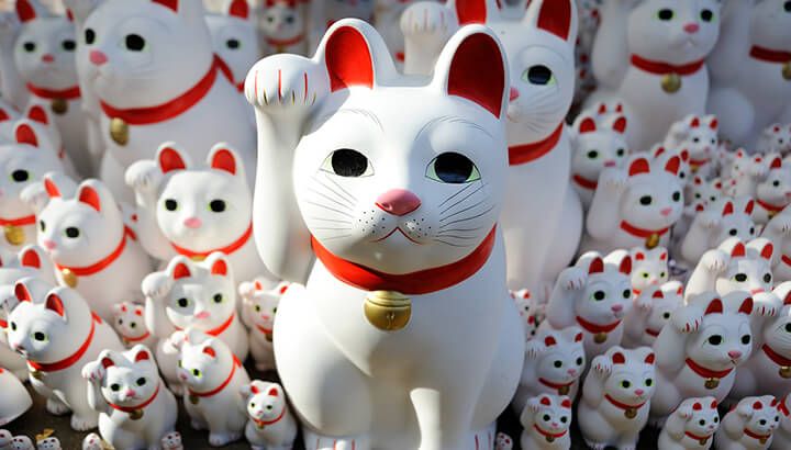 Maneki-Neko brings good luck in Japan