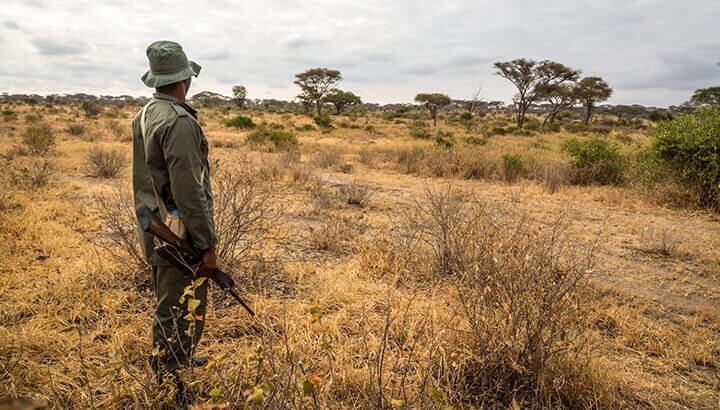 Park rangers help protect rhinos from poachers