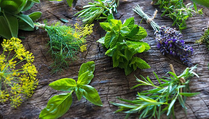 Herbal remedies can help support your hair.