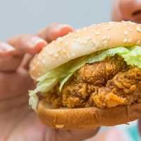 Fast food chicken contains fillers and extenders