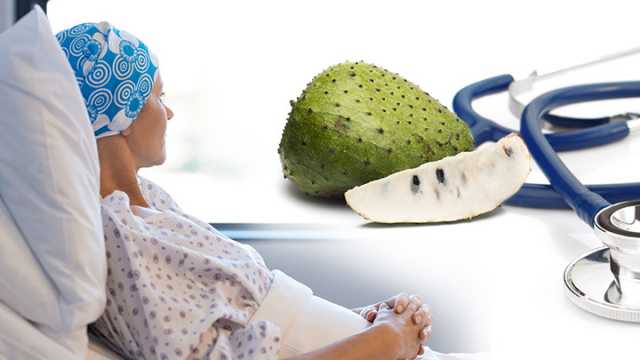 Can Graviola Fruit Treat Cancer