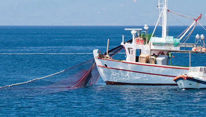 Canned tuna may come from fishermen outside of EEZ zones.