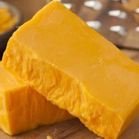 Full-fat cheese like cheddar are loaded with vitamins