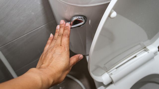 6 Toilet Seat Habits To Always Follow