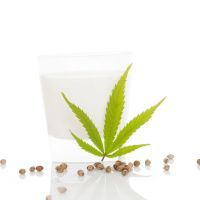 Marijuana milk with seeds