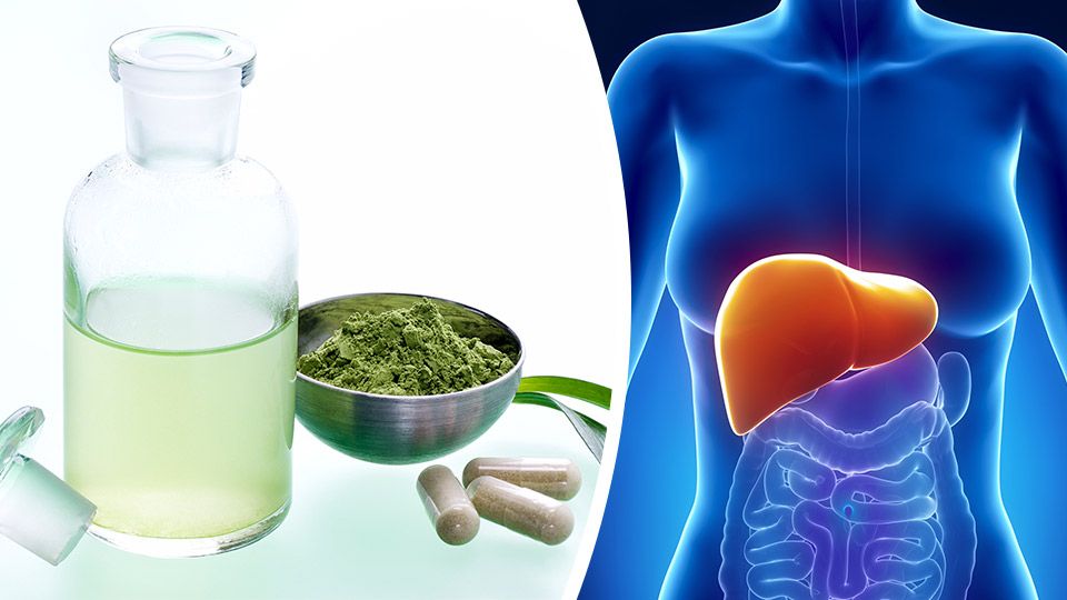 If You're Thinking Of Taking Green Tea Extract, Read This First