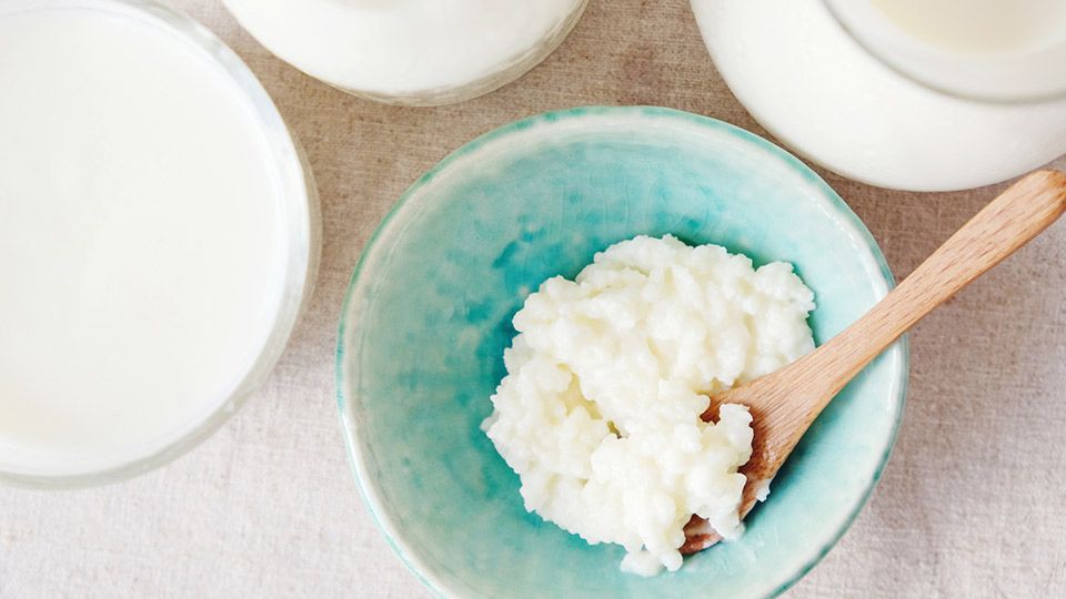 5 Benefits of Coconut Milk Kefir (2 is Shocking And Hard To Believe)