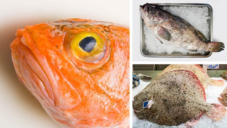 5 Cheap Fish To Avoid (AND Which Ones To Eat ! ) Must Try