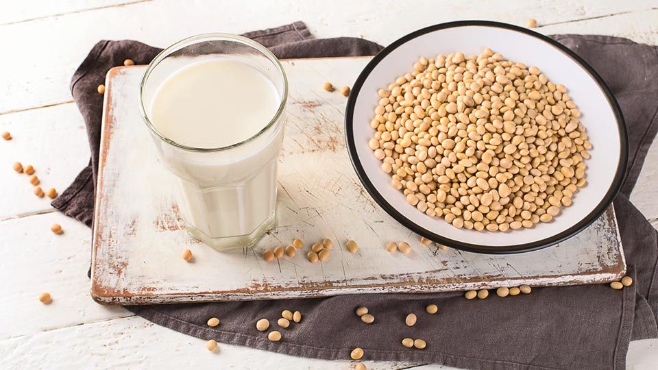 Is SoyMilk The Best Plant Based Alternative ? (Find Out Here)