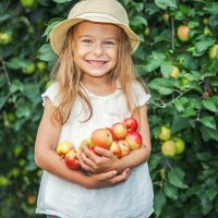 Every three to four years, sprinkle some borax around your apple trees to provide boron