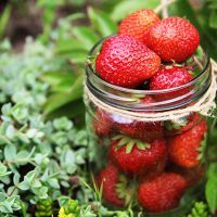 Strawberries contain malic acid to help whiten teeth