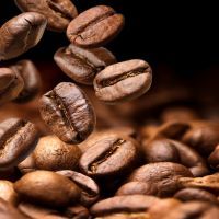 Falling coffee beans. Dark background with copy space, close-up