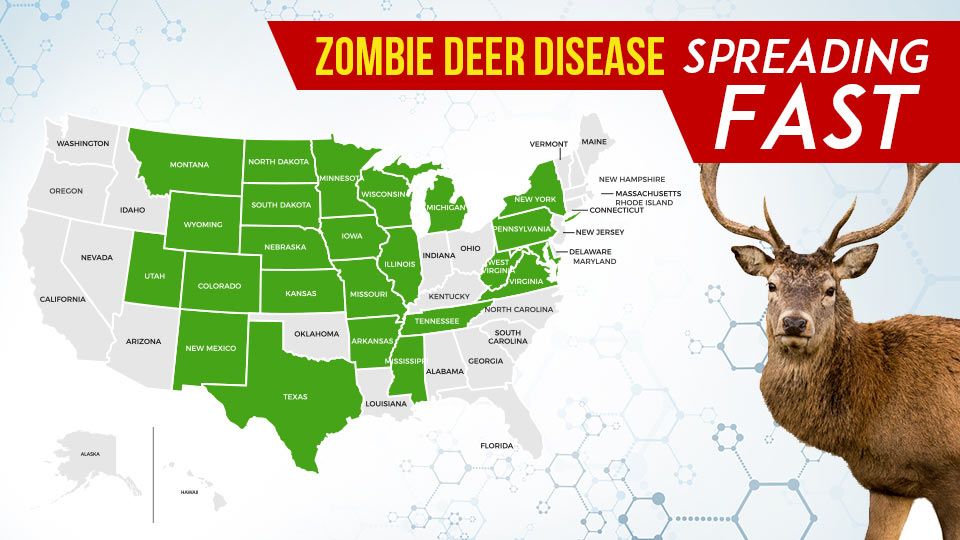 CDC Says Humans Likely To Contract Fatal Zombie Disease in Near Future
