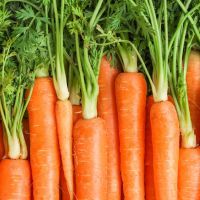 Ripe fresh carrots as background, space for text