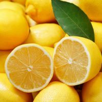 fresh lemons as background, top view
